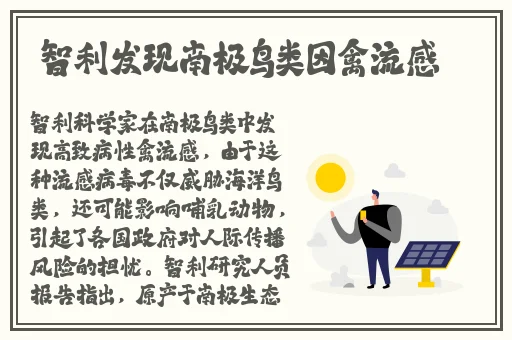 不盖被子打扑克